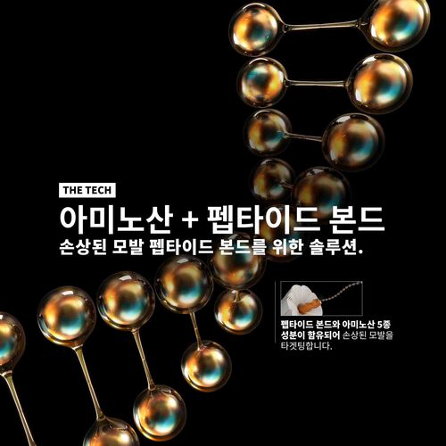 앱솔루트 리페어 몰큘러 프리트리트먼트 - 로레알 프로페셔널 | L'Oréal 파트너샵